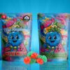 Sky High Edibles – Blue Raspberry + Watermelon Gummy 3000mg THC product image
