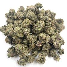 pink-rockstar-smalls-